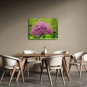 A réten virágzó fa képe (70x50 cm)