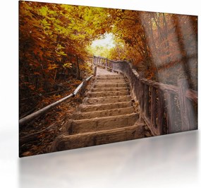 Üveg kép - Lépcsők a természetben ősszel (70x50 cm)