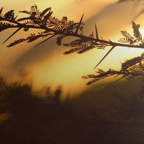 Kép - A nap lenyugszik a fák mögött (120x50 cm)