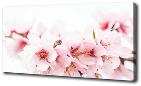 Egyedi vászonkép Cseresznye virágok pl-oc-100x50-f-79943111