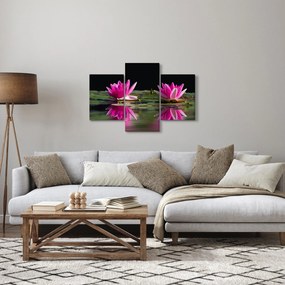 A tavirózsa képe a vízen (90x60 cm)