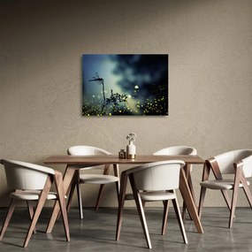 Kép - szitakötő a csillogó éjszakában (üvegen) (70x50 cm)