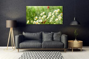Akrilüveg fotó Daisy növény természet 120x60 cm