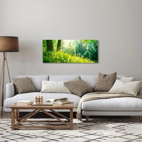 Kép - Varázslatos rét tele pitypanggal (120x50 cm)