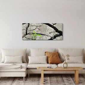 Kép - Repedések (120x50 cm)
