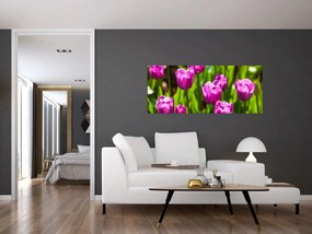 Tulipánok a réten képe (120x50 cm)