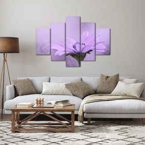 Kép - Ibolya virág (150x105 cm)