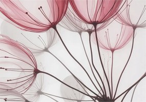 Dekoratív Fotótapéta Furnér Flizelin Virágos sziluettek 312x219 Ragasztó