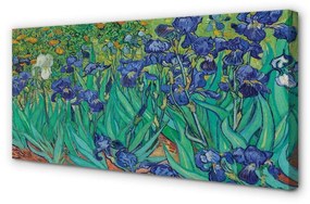Canvas képek Art virágok íriszek 120x60 cm