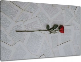 Vászonkép 90x60 Vörös rózsa a könyvön