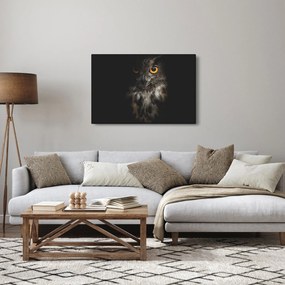 Bagoly képe (90x60 cm)