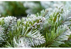 Karácsonyi koszorú, átmérő 54 cm