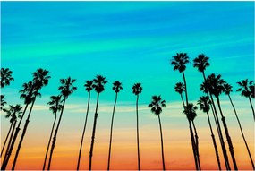 Kép - Kalifornia (90x60 cm)