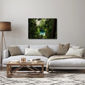 Kép - kilátás a fák között (70x50 cm)