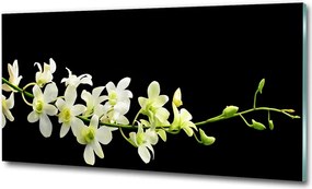 Fotó kép edzett üveg Szilva virág 100x70