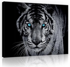 Falikép Vászonkép tigris 100x75