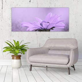 Kép - Ibolya virág (120x50 cm)