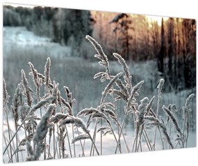 Kép - Fagyott rét (90x60 cm)