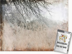 Fotótapéta Absztrakt Retro Ágak Loft Falra Hálószoba Nappali 350x250