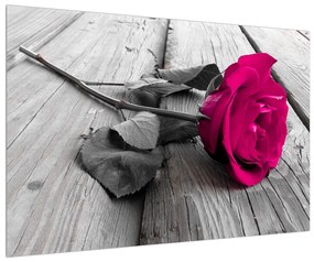 Rózsaszín rózsa képe (90x60 cm)