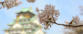 Kép - Sakura (120x50 cm)