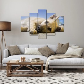 Fekvő kiskutya képe (150x105 cm)