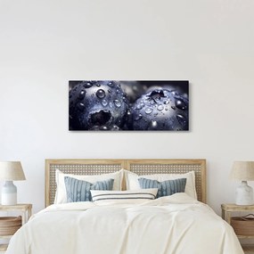 Vízcseppekkel ellátott gyümölcs képe (120x50 cm)