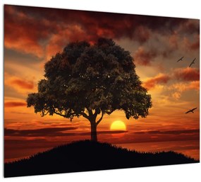 Fa képe naplementével (70x50 cm)