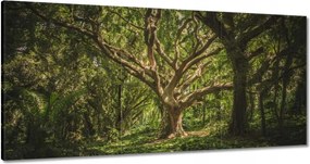 Festmények 180x90 Fa a parkban