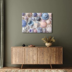 Kép - Kagylógyűjtemény (90x60 cm)