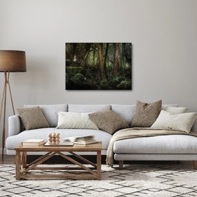 Kép - Titokzatos erdő (70x50 cm)