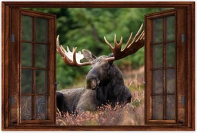 Poszterek 120x80 Szarvas a csarnokban