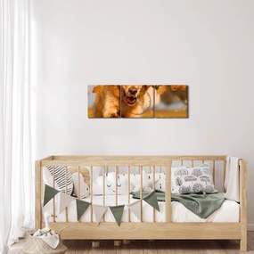 Kép - Golden Retriever (órával) (90x30 cm)