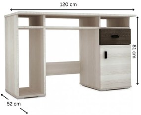 Nelly íróasztal kőris - ezüst tölgy N