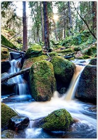 Poszterek 70x100 Hegyi patak Tájkép