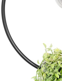 Modern lógó lámpa fekete üveggel, kerek - Roslini