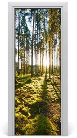 Ajtóposzter egy fenyves erdőben 75x205 cm