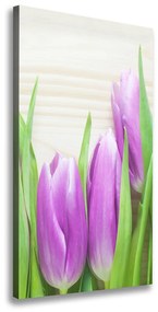Egyedi vászonkép Lila tulipánok ocv-78755149