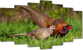 Festmények 140x80 Fácán család Madarak