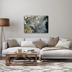 Kép - Ág részlet (70x50 cm)