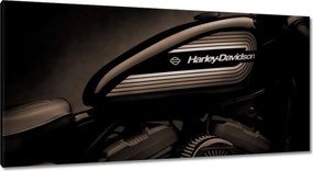 Képek 115x55 Harley Davidson Motorkerékpár