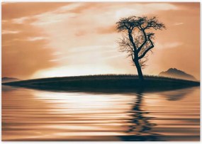 Poszterek 100x70 Fa a szigeten