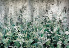 Fotótapéta Eukaliptusz beton zöld szürke vinil 416x254 +ragasztó