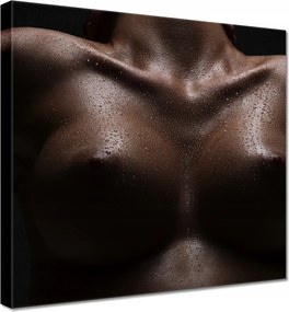 Vászonkép 80x80 Feszes mellek Akt