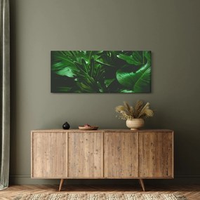 Kép - Pálmalevél (120x50 cm)