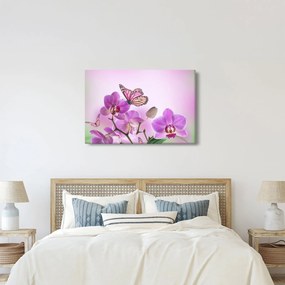 Kép - Pillangó orchidea virágon, lila (90x60 cm)