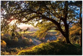 Poszterek 120x80 Kilátás a völgyre