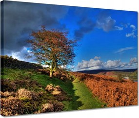 Vászonkép 40x30 Fa a láthatáron