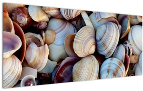 Kagyló képe (120x50 cm)