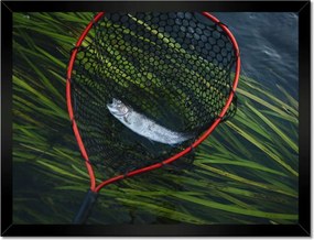 Poszterek keretben 40x30 Halász és pisztrángháló